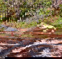 Litchfield National Park Day Tour from Darwin With Waterfalls And Buley Rockhole - Attractions