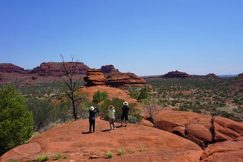 Palm Valley And Hermannsburg 1 Day 4WD Tour - Attractions 2