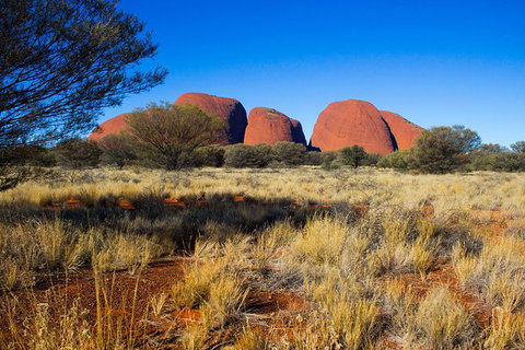 Ayers Rock 4 Tour Combo: Complete Uluru Base Walk At Sunrise, Valley Of The Winds At Sunrise, Kata Tjuta Sunset And Uluru Sunset - Attractions 12
