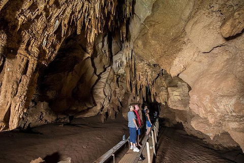 Cutta Cutta Caves Nature Park Guided Tours - Attractions 1