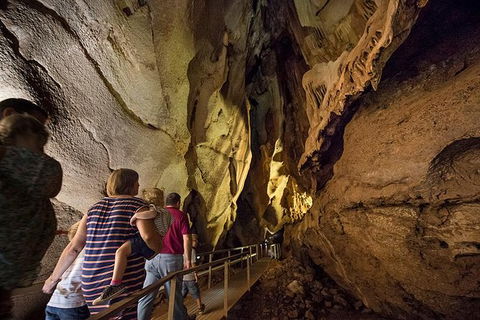 Cutta Cutta Caves Nature Park Guided Tours - Attractions 0