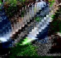 Litchfield Dreams 1 Day National Park Waterfall Swimming  Jumping Croc Cruise - Attractions