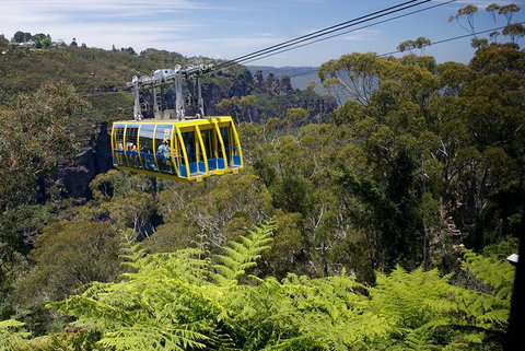 Go Sydney Explorer Pass With Hop-on Hop-Off Bus, Taronga Zoo And More - See Attractions 10