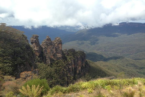 All-Inclusive Blue Mountains Tour In A Luxury Mercedes Sprinter - See Attractions 11
