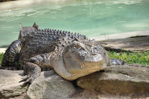 All-Inclusive Blue Mountains Tour In A Luxury Mercedes Sprinter - See Attractions 14