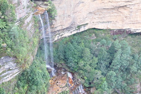 All-Inclusive Blue Mountains Tour In A Luxury Mercedes Sprinter - See Attractions 17