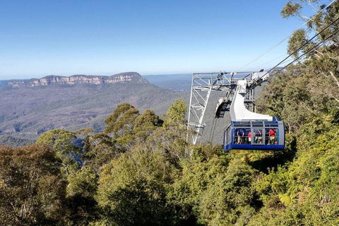 All-Inclusive Blue Mountains Tour In A Luxury Mercedes Sprinter - See Attractions 6