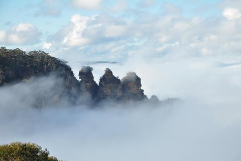 All-Inclusive Blue Mountains Tour In A Luxury Mercedes Sprinter - See Attractions 15