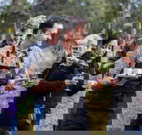 Day Trip with Chef-Led Hunter Valley Gourmet Food and Wine from Sydney - See Attractions