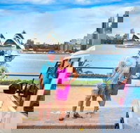 Luxury Sydney City Private Tour - See Attractions