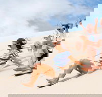 Port Stephens Day Tour with Dolphin Watching Sandboarding  Australian Wildlife - See Attractions