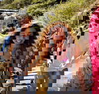 Blue Mountains Nature and Wildlife Day Tour from Sydney - See Attractions