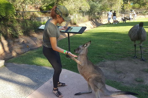 Sydney Private Day Tours - Central Coast, Beaches, Plus Wildlife & Reptile Park - Attractions 0