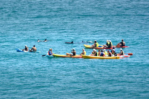 The Byron Bay Sea Kayak Tour - Attractions 12