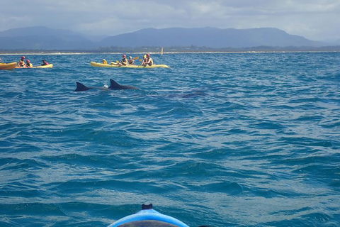 The Byron Bay Sea Kayak Tour - Attractions 4