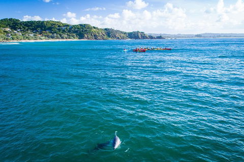 The Byron Bay Sea Kayak Tour - Attractions 8