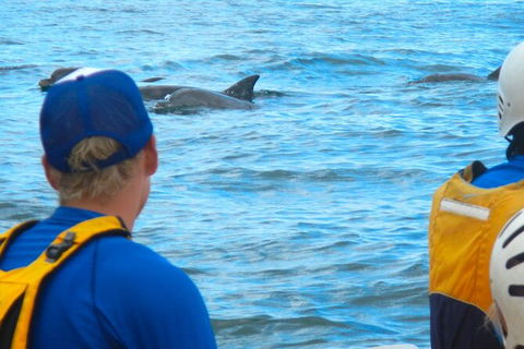 The Byron Bay Sea Kayak Tour - Attractions 11