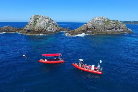 3-Hour Sea Turtle Snorkeling Experience In Byron Bay - Attractions 8