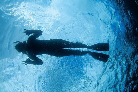 3-Hour Sea Turtle Snorkeling Experience In Byron Bay - Attractions 9