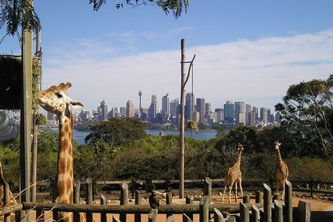 Sydney Taronga Zoo\'s Australian Animals Tour - Attractions 0
