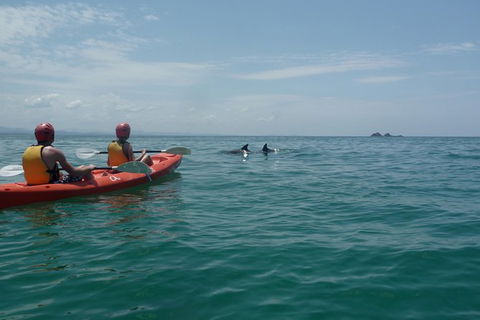 Kayaking With Dolphins In Byron Bay Guided Tour - Attractions 0