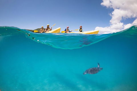Kayaking With Dolphins In Byron Bay Guided Tour - Attractions 14