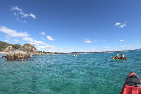 Kayaking With Dolphins In Byron Bay Guided Tour - Attractions 15