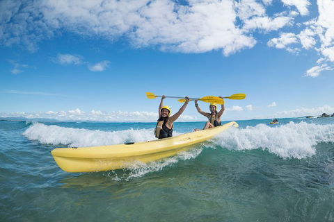 Kayaking With Dolphins In Byron Bay Guided Tour - Attractions 16