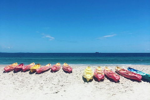 Kayaking With Dolphins In Byron Bay Guided Tour - Attractions 20
