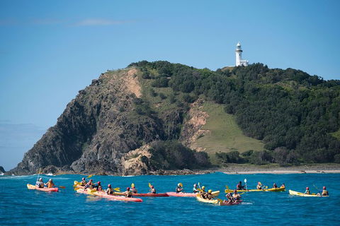 Kayaking With Dolphins In Byron Bay Guided Tour - Attractions 2
