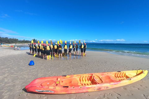 Kayaking With Dolphins In Byron Bay Guided Tour - Attractions 3