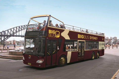 Sydney Shore Excursion: Big Bus Sydney And Bondi Hop-On Hop-Off Tour - Attractions 1