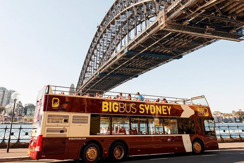 Sydney Shore Excursion: Big Bus Sydney And Bondi Hop-On Hop-Off Tour - Attractions 12