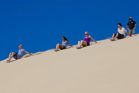 Port Stephens Day Tour From Sydney Including 4WD, Sandboarding And Dolphins - Attractions 1