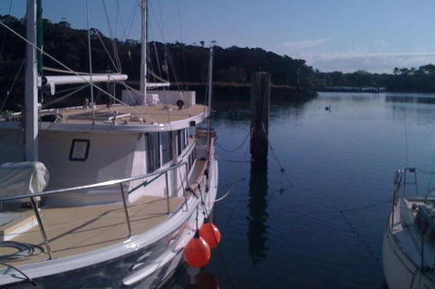 Beyond Byron Hinterland Tour - Attractions 0