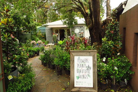 Beyond Byron Hinterland Tour - Attractions 2