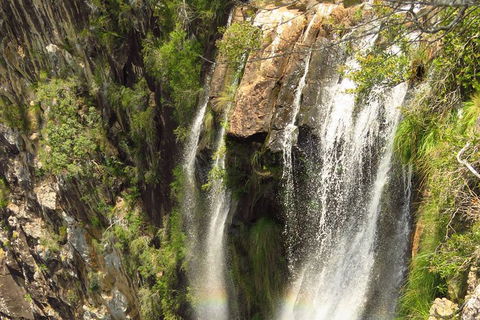 Beyond Byron Hinterland Tour - Attractions 10