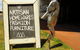 Beyond Byron Hinterland Tour - thumb 8