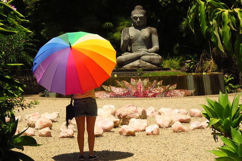 Beyond Byron Hinterland Tour - Attractions 4
