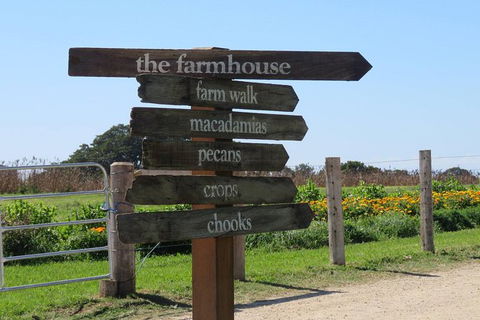 3-Hour Small-Group Byron Bay Tour - Attractions 3
