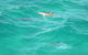 3-Hour Small-Group Byron Bay Tour - thumb 5