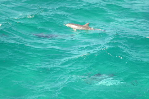 3-Hour Small-Group Byron Bay Tour - Attractions 5