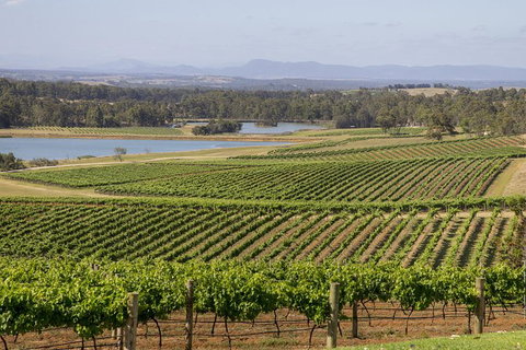 Hunter Valley Wine And Wildlife Tour From Sydney With Walkabout Wildlife Park - Attractions 0
