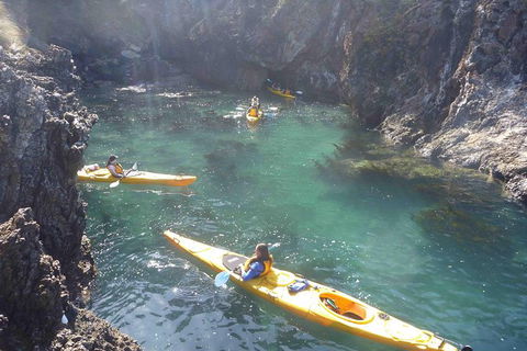 Batemans Bay Full Day Sea Kayak Tour With Beach Picnic Lunch - Attractions 1