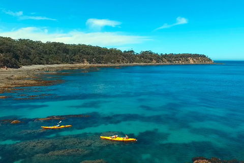 Batemans Bay Full Day Sea Kayak Tour With Beach Picnic Lunch - Attractions 7