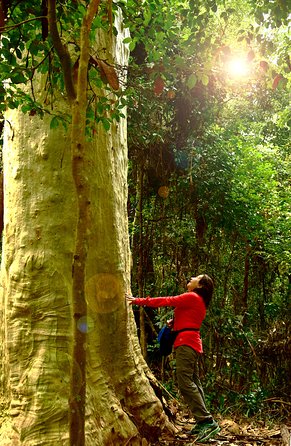 3 Day Murramarang Coast Journey From Batemans Bay With Meals And Villa Accom - Attractions 4