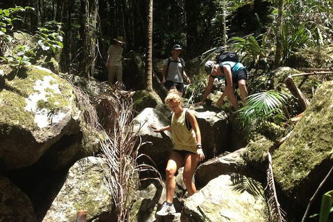 Byron Bay Hinterland Tour Including Rainforest Walk To Minyon Falls - Attractions 12