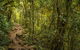 Byron Bay Hinterland Tour Including Rainforest Walk To Minyon Falls - thumb 11