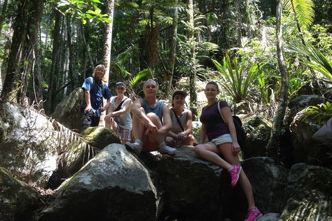 Byron Bay Hinterland Tour Including Rainforest Walk To Minyon Falls - Attractions 4