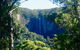 Byron Bay Hinterland Tour Including Rainforest Walk To Minyon Falls - thumb 17